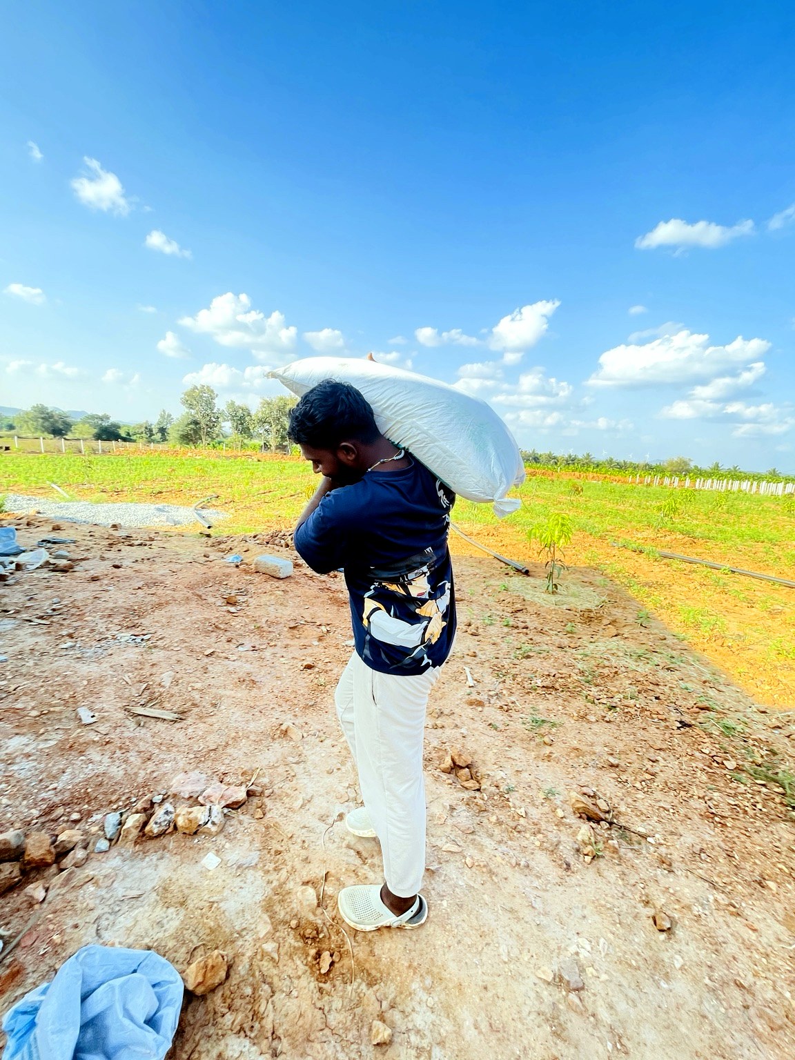 Farm work at JD Farms